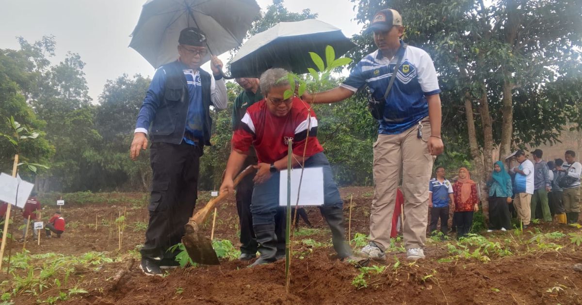 Kolaborasi CSR PT Antam dan Pemkab Bogor Bangun Hutan Kota di Nanggung