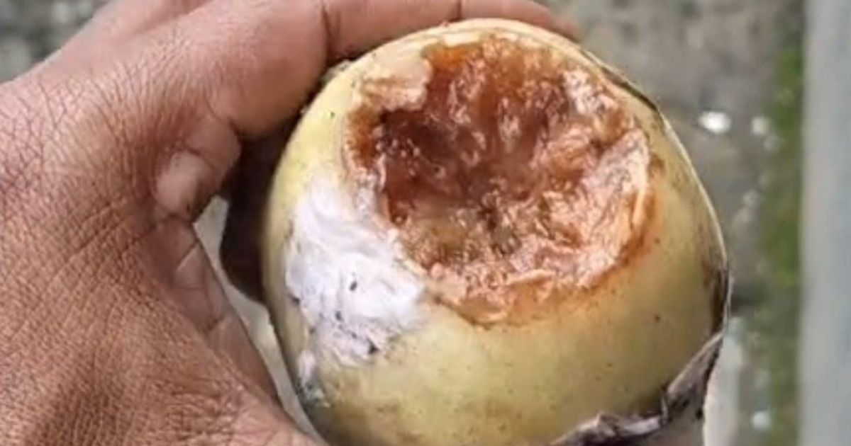 Video Viral, Wali Murid di Nanggung Protes Kualitas Menu MBG