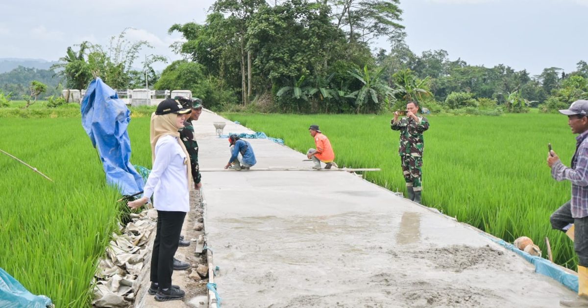 Bupati Pesawaran Dampingi Wasev TMMD Ke-127 Kodim 0421/Lampung Selatan