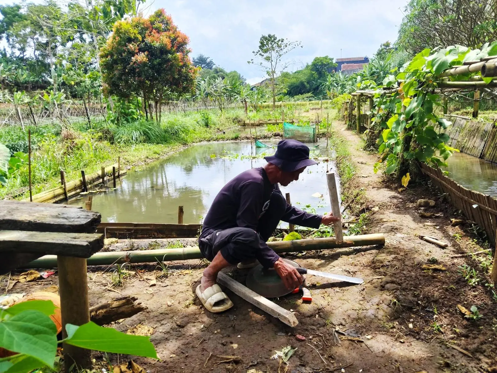 Anggaran Ketahanan Pangan Rp.250 Juta Desa Ciburuy Jadi Sorotan, Peternakan Baru Bangun Kandang
