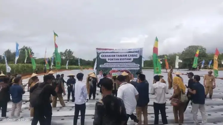 Poktan Biotani Gelar Gerakan Tanam Cabai di Jasinga, Dukung Pengendalian Inflasi Kabupaten Bogor