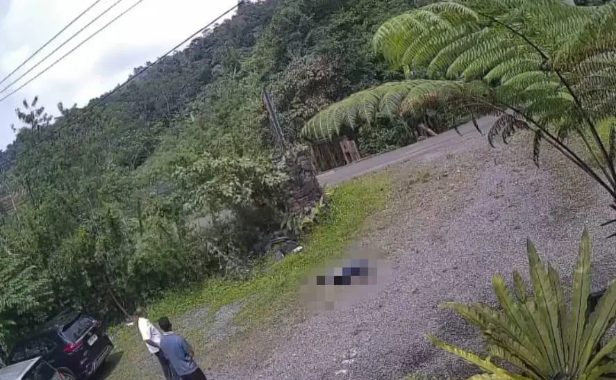 Diduga Rem Blong, Pasutri Alami Kecelakaan Tragis di Jalur Wisata Pabangbon: Suami Tewas, Istri Kritis