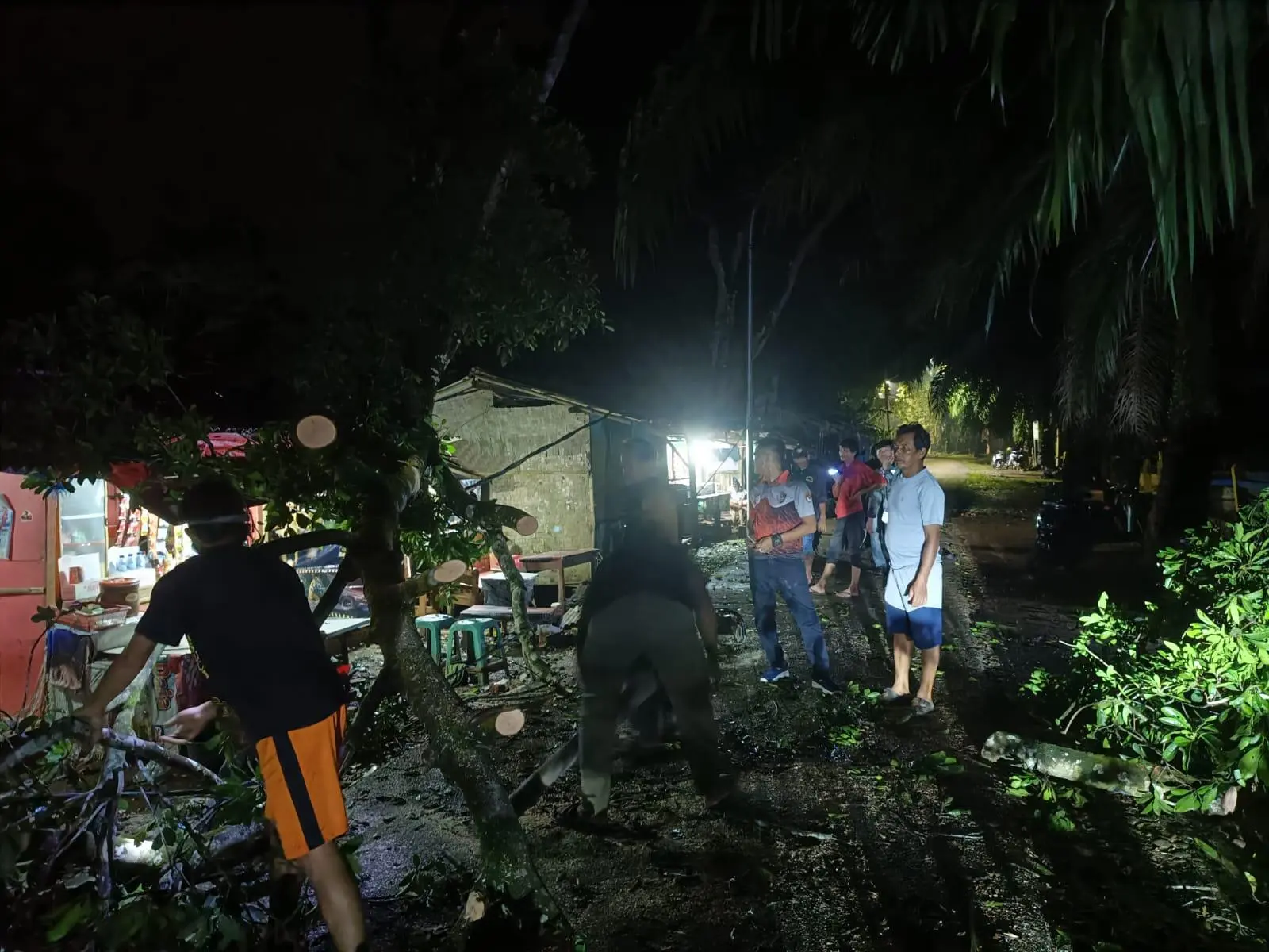 Pohon Tumbang Tutup Akses Jalan di Kawasan Wisata Situ Kadongdong Jasinga