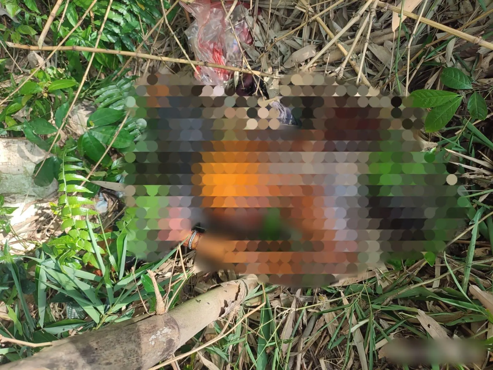 Mayat Pria Tanpa Identitas Ditemukan di Sungai Kebagusan, Polisi Lakukan Penyelidikan