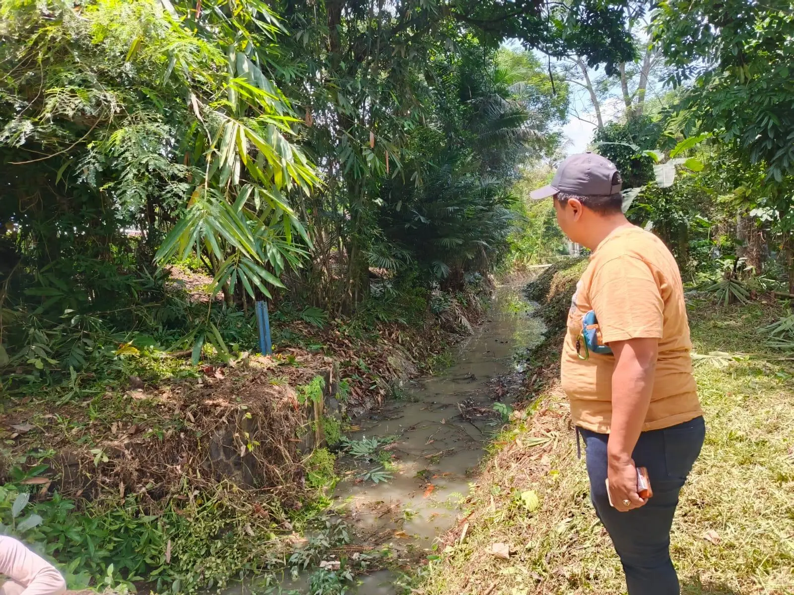Saluran Irigasi Sodong di Jasinga Tertutup Sedimentasi, Petani Mengeluh Air Tak Mengalir 6 Tahun