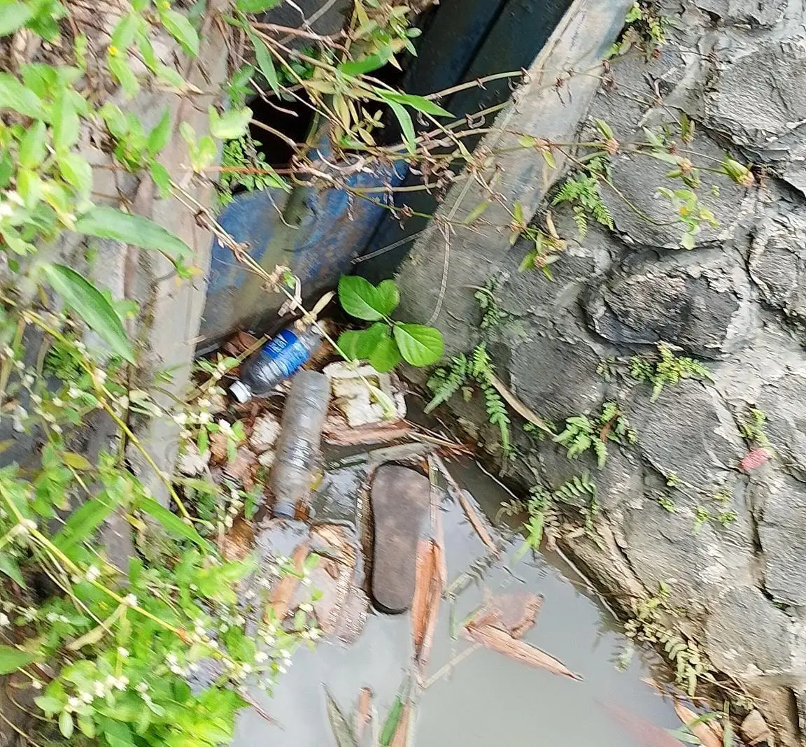 Irigasi Sodong Kering, Pertanian Jasinga Merana, Penggilingan Padi Terancam