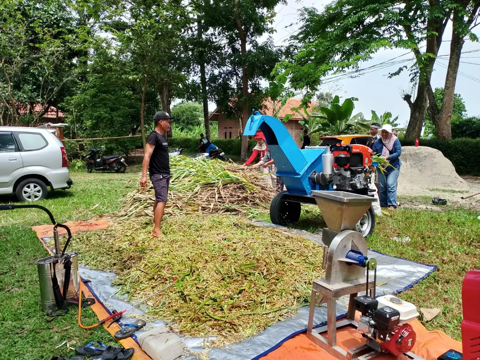 Lahan Sorgum di Jasinga Jadi Tempat Belajar Budidaya, Dorong Ketahanan Pangan