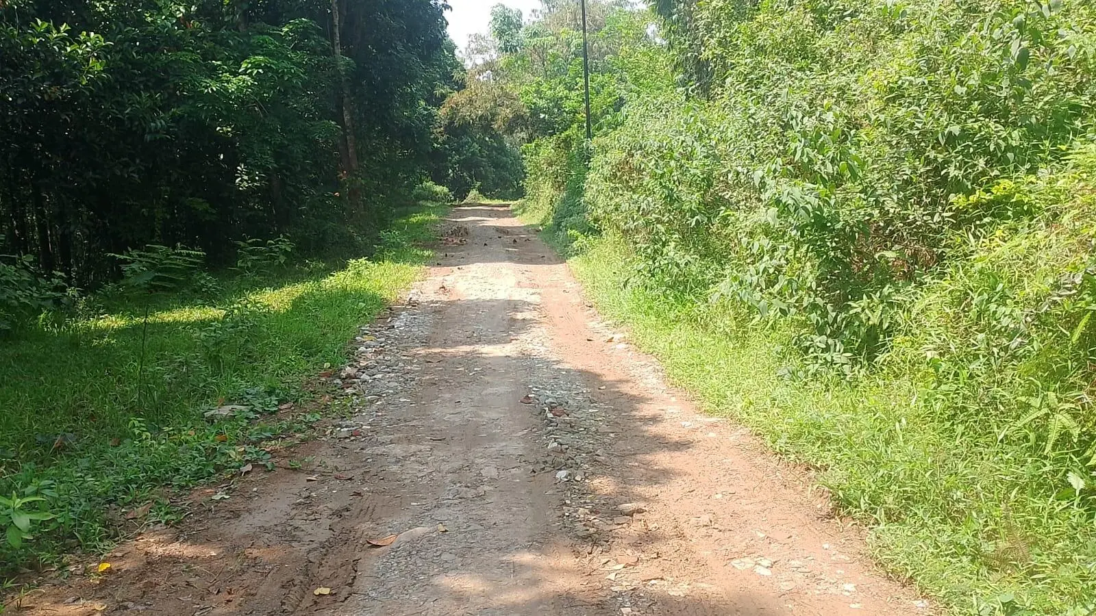Penantian Panjang Berakhir, Jalan Ngasuh – Koleang Akhirnya Digarap Pemkab Bogor