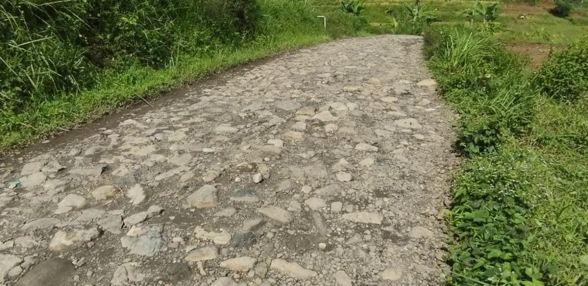 Puluhan Miliar Digelontorkan, 15 Proyek Jalan dan Jembatan Dibangun di Bogor Barat 2025