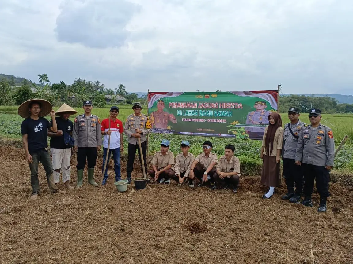 Pemdes Kalongliud dan Polsek Nanggung Garap Lahan Tidur Jadi Jagung Hibrida