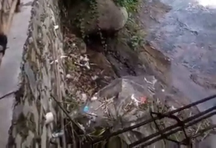Dari Sungai ke Setu, Aktivis WALHI Ungkap Praktik Buruk Buang Sampah di Bogor