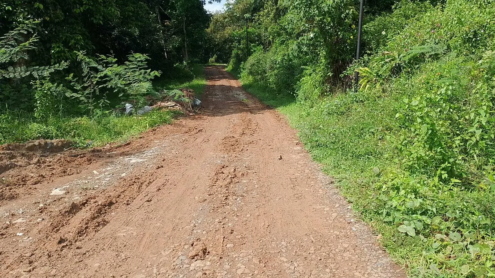 UPT Jasinga Pastikan Jalan Ngasuh–Koleang Masuk Program 2025