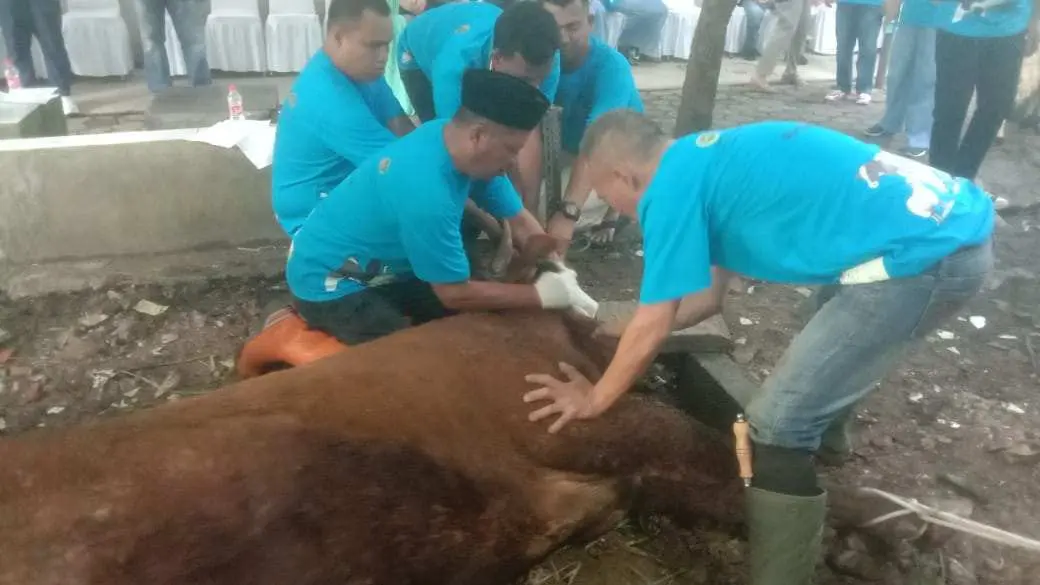 BPN Kota Depok Gelar Kurban Idul Adha, Bagikan Daging untuk Pegawai hingga Masyarakat