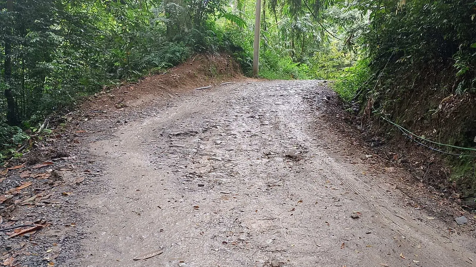 Dinas PUPR Kabupaten Bogor Anggarkan Dana Rp 7 Miliar Untuk Rekonstruksi Jalan Ngasuh - Cileuksa