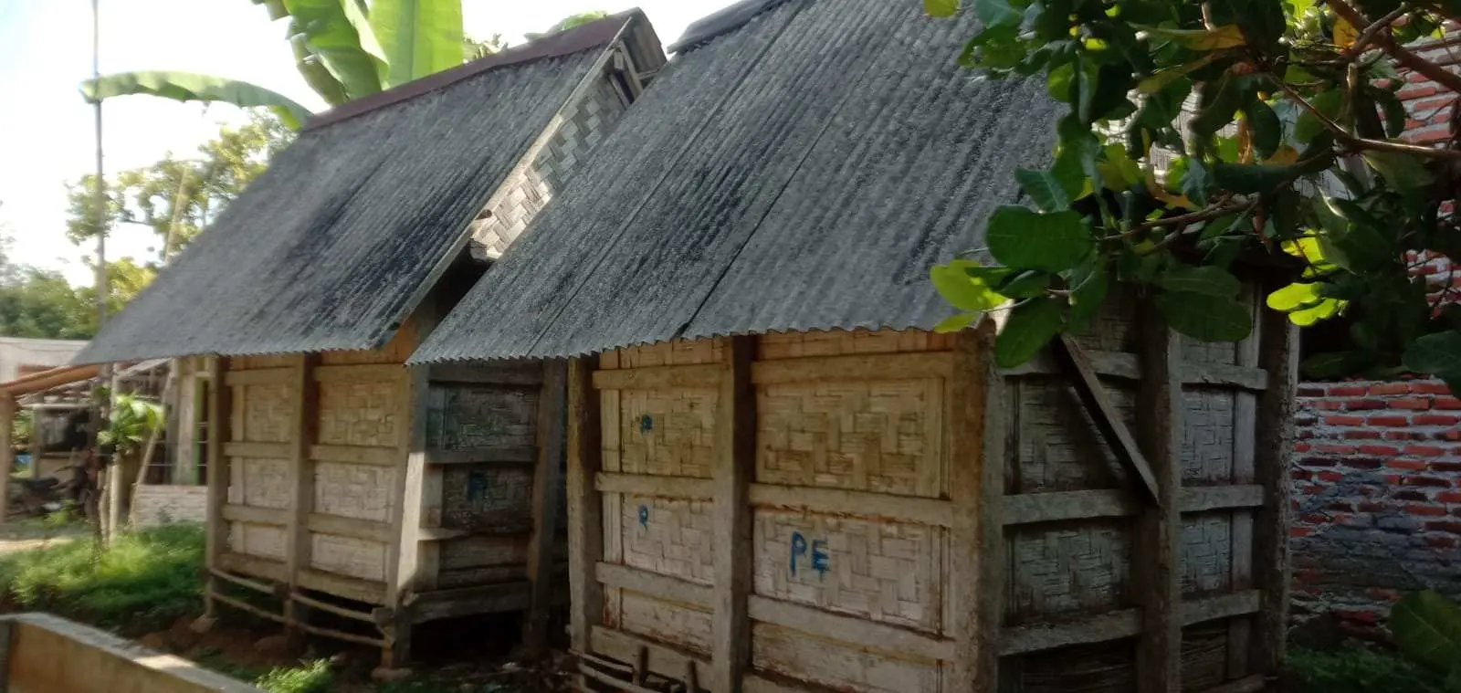 Masyarakat Desa Tegal Wangi Konsisten Pertahankan Tatanan Pertanian, Dari Tradisi Mipit, Pare Chere Hingga Lumbung Padi Tersebar di Setiap Penjuru