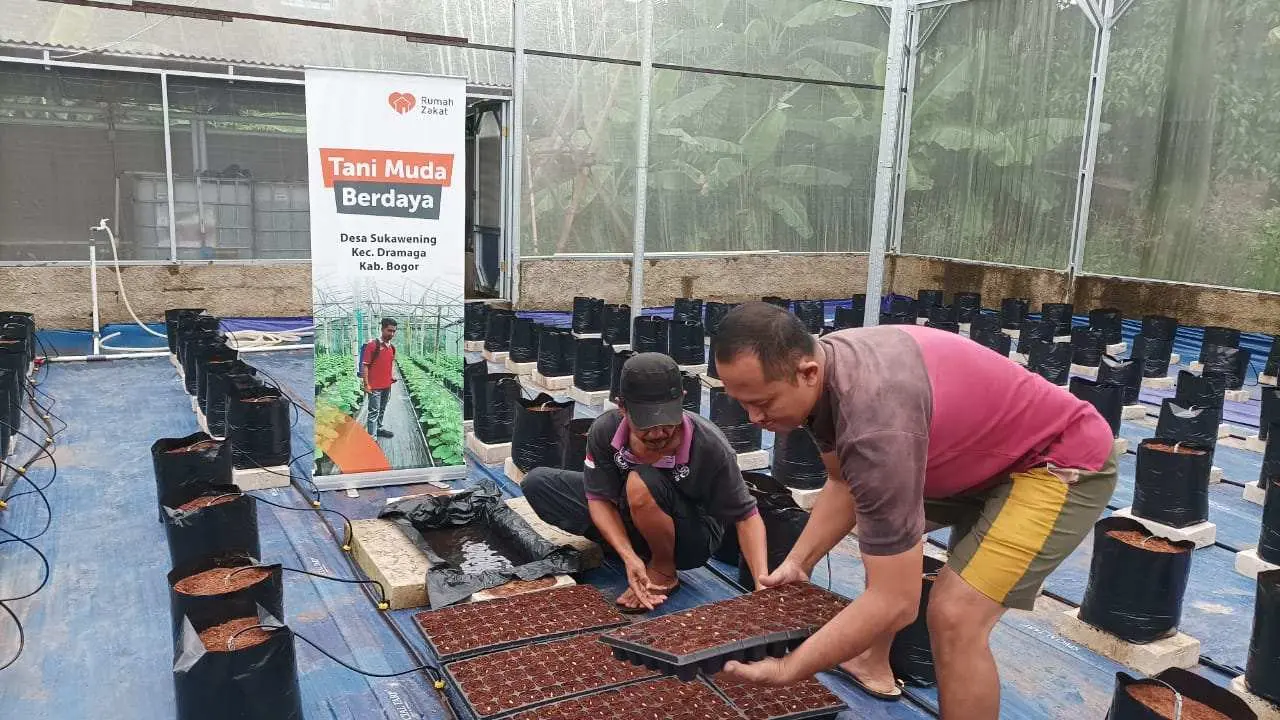 Berdayakan Petani, Rumah Zakat di Bogor Luncurkan Program Budidaya Melon Hidroponik