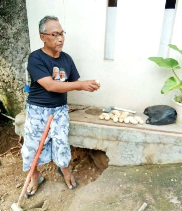 Warga Perum Lido Permai Geger! Sarang dan Belasan Telur Ular Piton Ditemukan di Tengah Permukiman