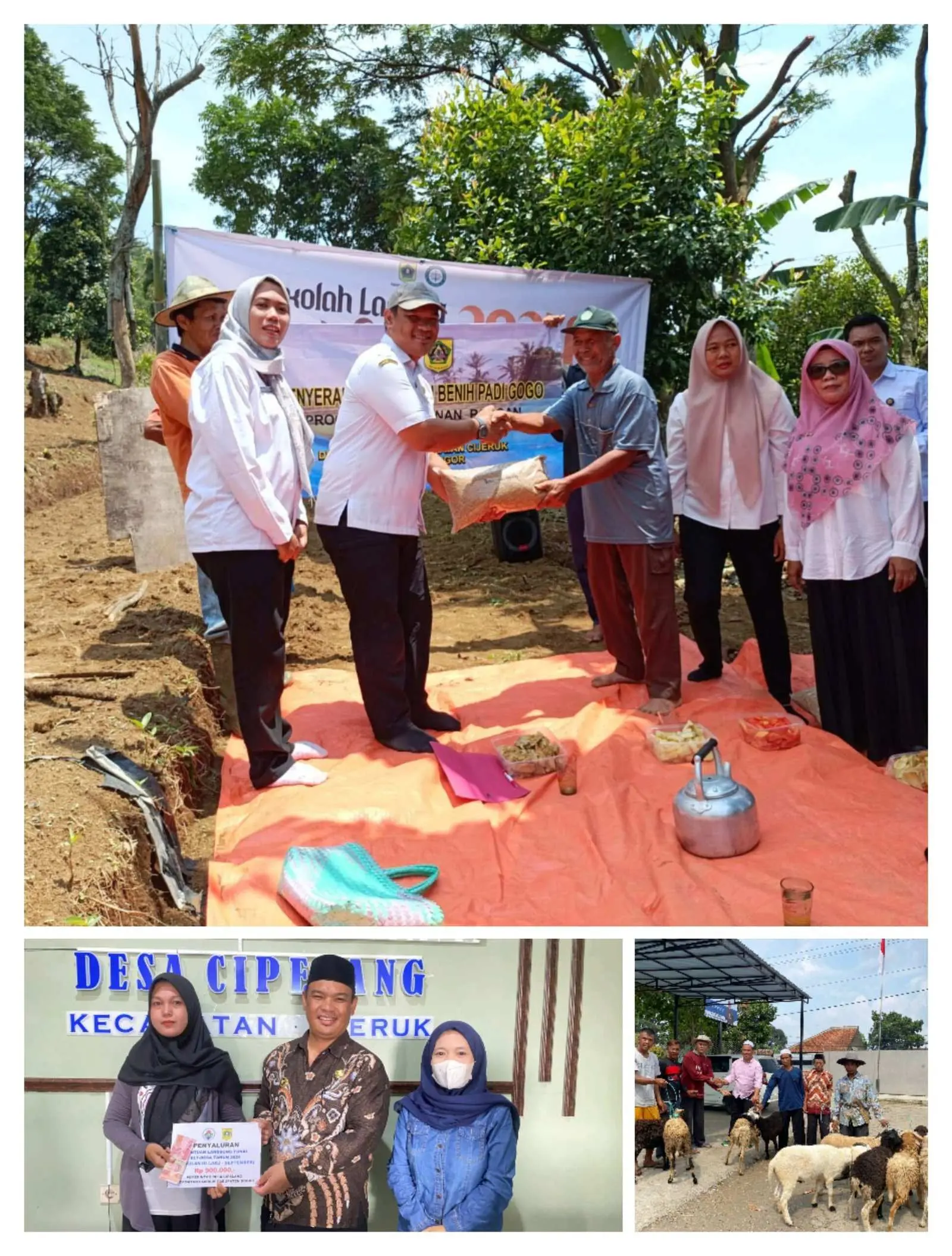 DD Tahap 3 TA 2024 Cair, Pemdes Cipelang Optimalkan Pengalokasian