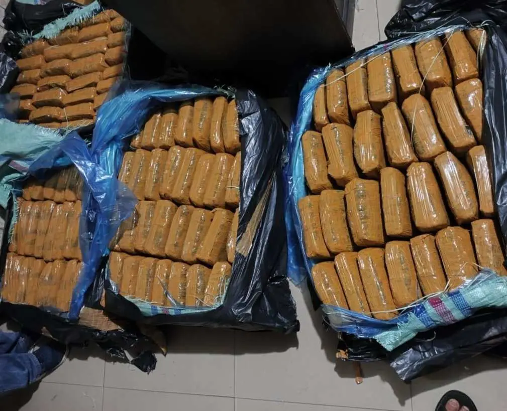 Polda Lampung Gagalkan Upaya Penyelundupan Ratusan Kilogram Ganja Asal Padang