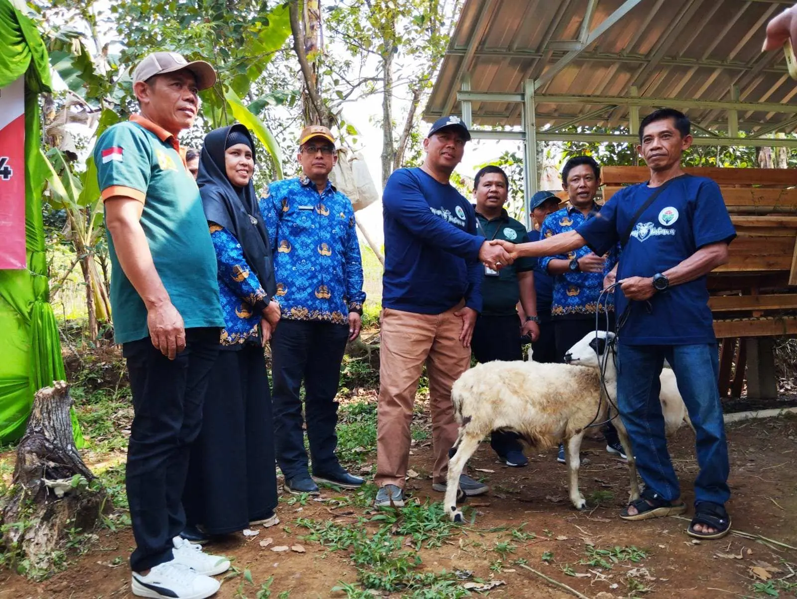 Ketahanan Pangan Desa Banjar Waru, Kembangbiakan Kambing Jadi Andalan