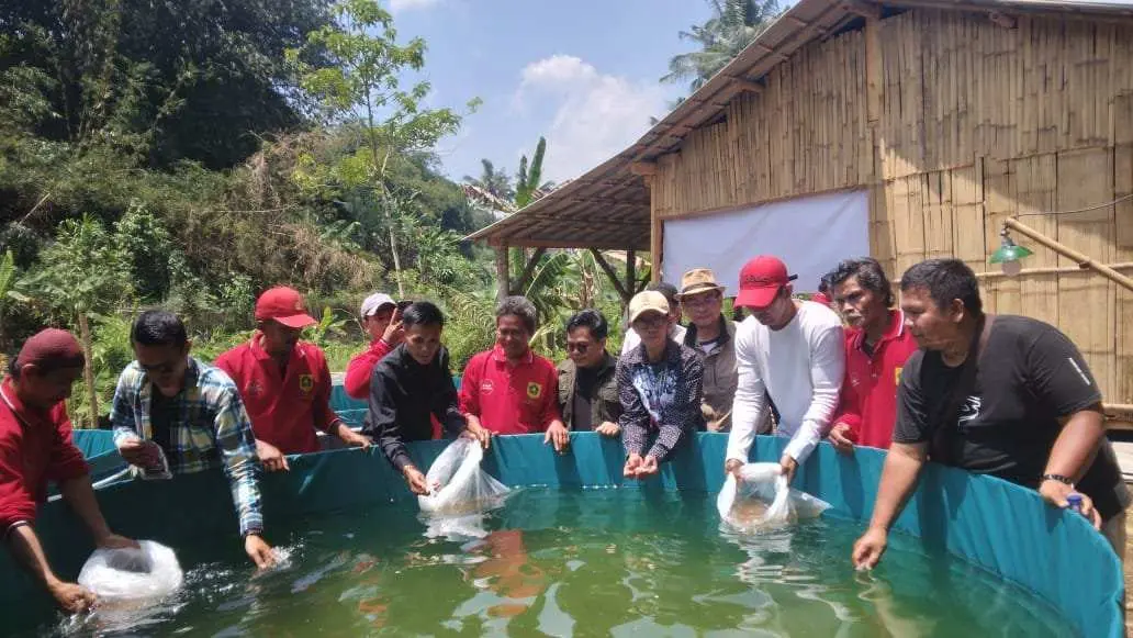 Kembangkan Budidaya Ikan Nila Adopsi Inovasi Sistem Bioflok Desa Banjarsari Dukung Ketahanan Pangan