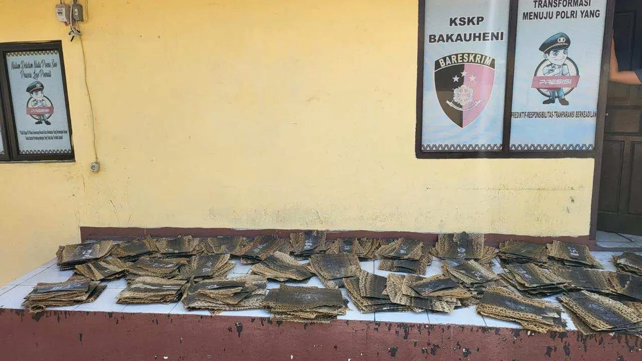 Penyelundupan Ratusan Kulit Ular Piton Berhasil Digagalkan Di Bakauheni 