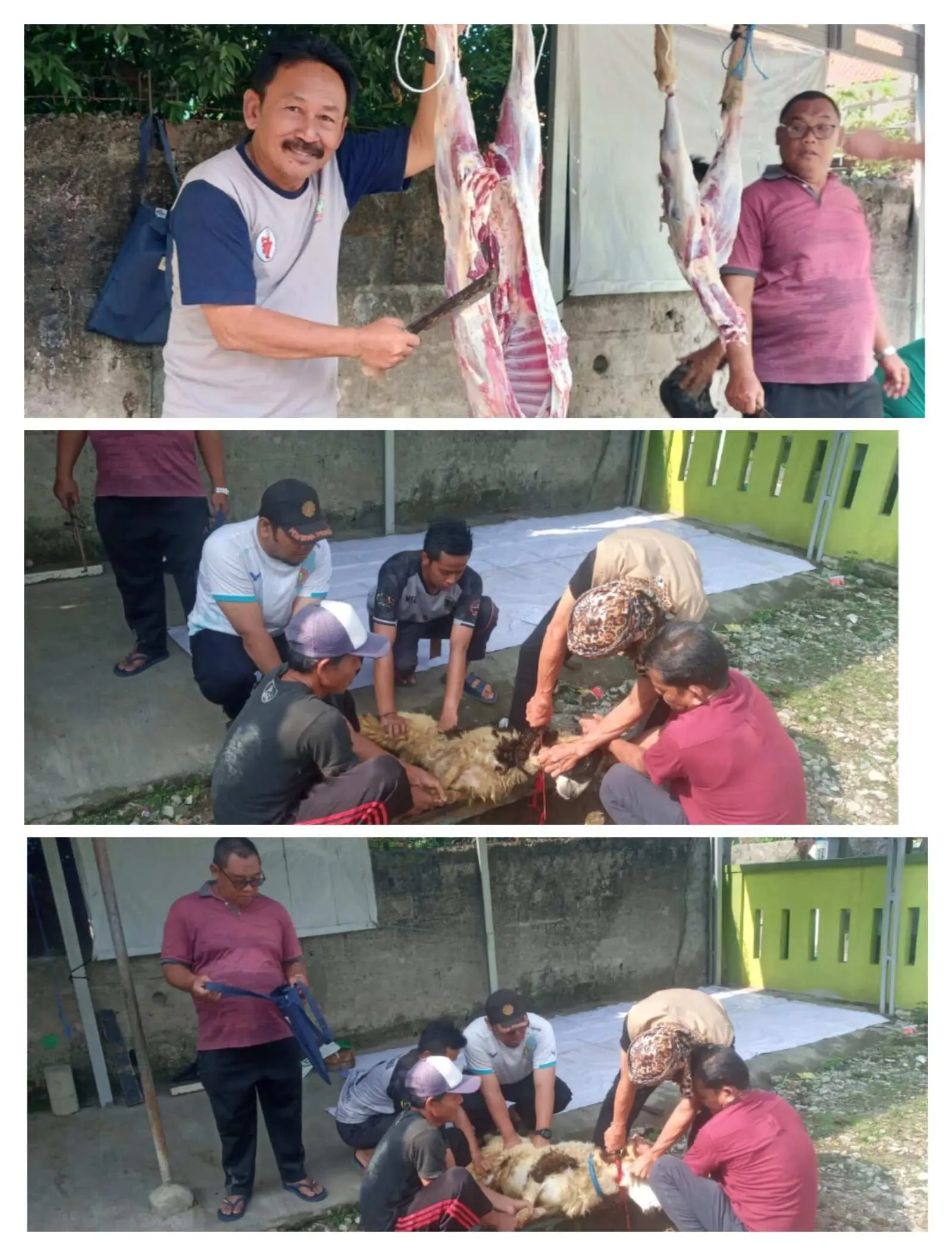 Taras Alhamdulillah Idul Adha 1445 Hijriah Kita Bisa Berbagi Daging Kurban 