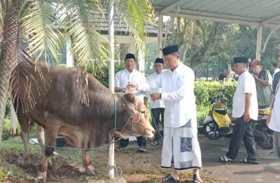 Perayaan Idul Adha 1445.H PemKab Bogor Salurkan Hewan Kurban Untuk Masyarakat 