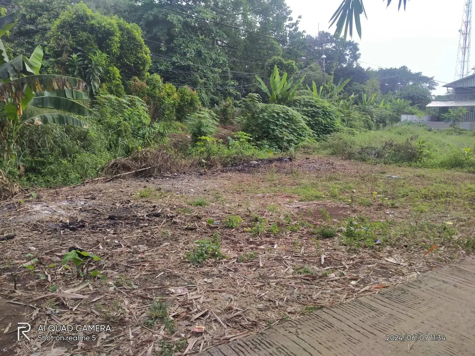 Pembangunan Pos Yandu Kelurahan Pondok Rajeg Belum Terealisasi Ini Alasannya 