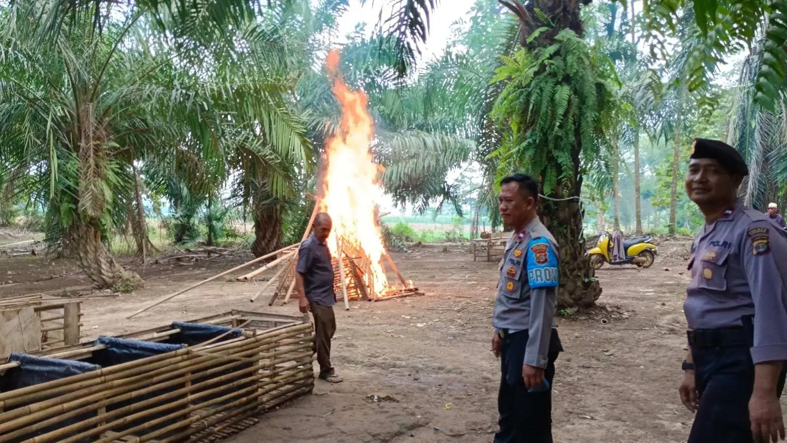 Diduga Jadi Arena Judi Sabung Ayam, Sejumlah Bangunan Liar Dibongkar Polisi