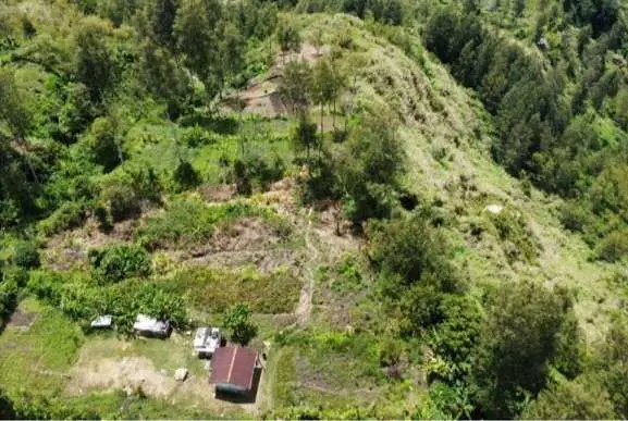 Pasukan TNI Polri Terlibat Kontak Senjata Dengan OPM di Distrik Homeyo Papua