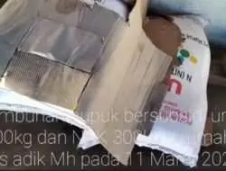 Sekretaris Gapoktan-RS Bungkam, Kakan BP3K Sukadana, Ir.: Nggak Ada Pembukuannya