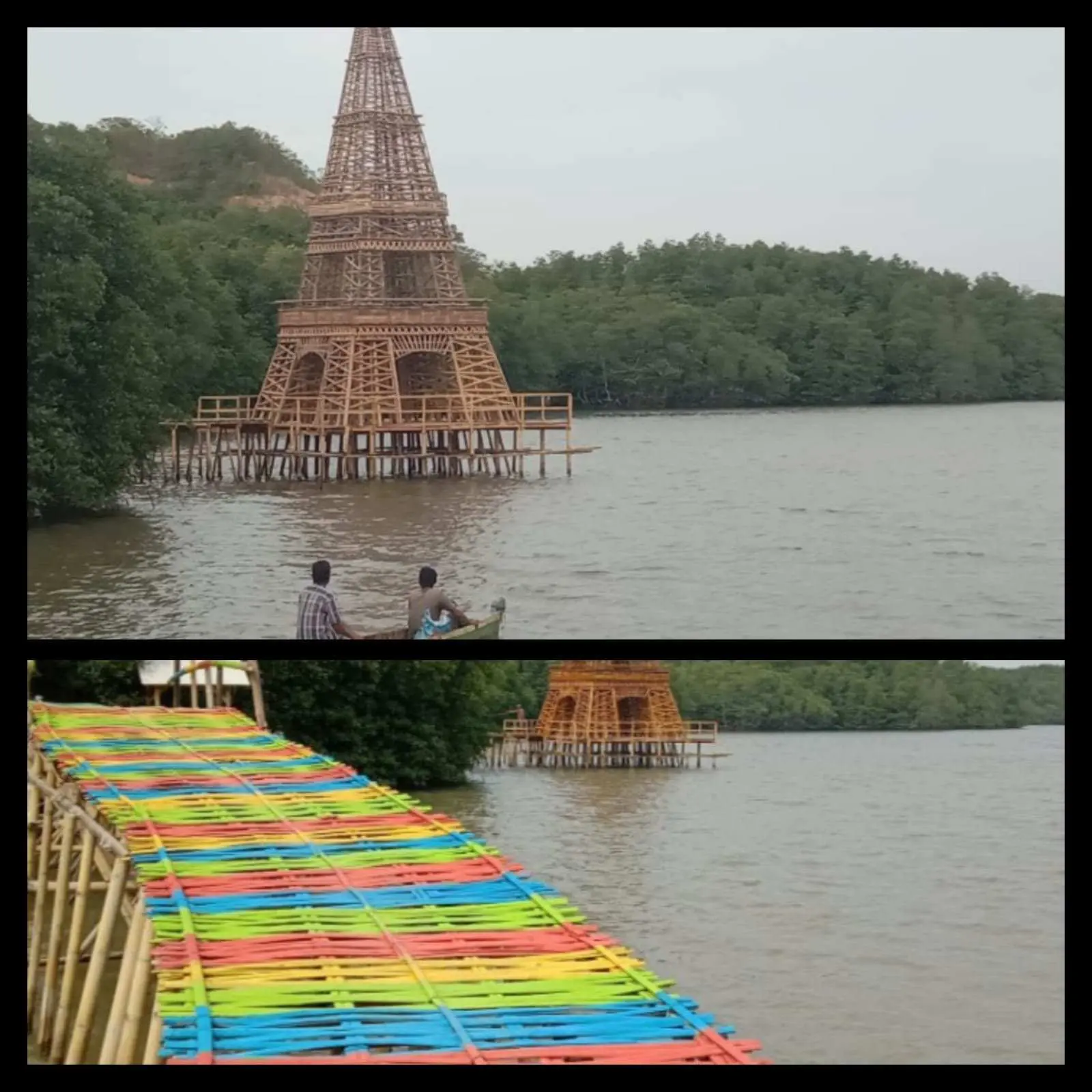 Pesona Wisata Traking Hutan Mangrove Cuku Nyinyi Desa Sidodadi