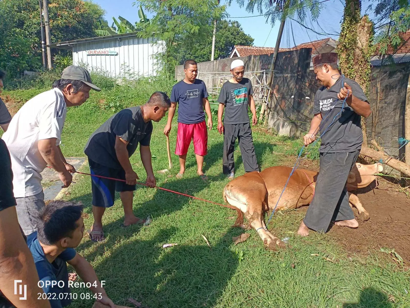 Jemaah Mushola Al Mubarok Perumahan Bogor Asri Cibinong Melaksanakan Pemotongan Hewan Qurban