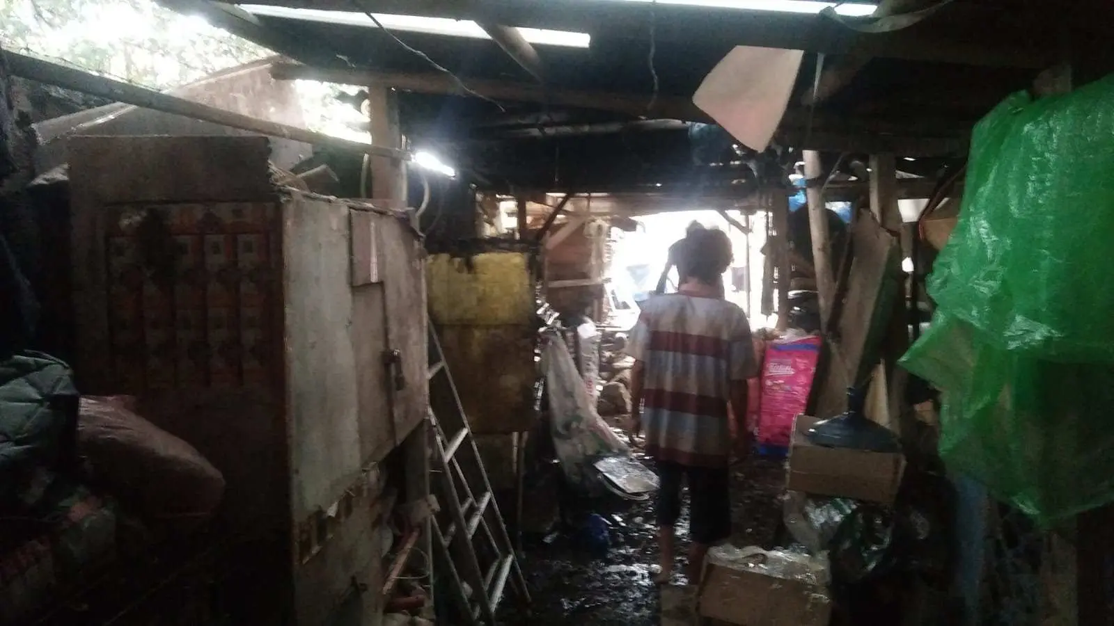 Si Jago Merah Nyaris Lalap Rumah Warga Kota Batu Bogor