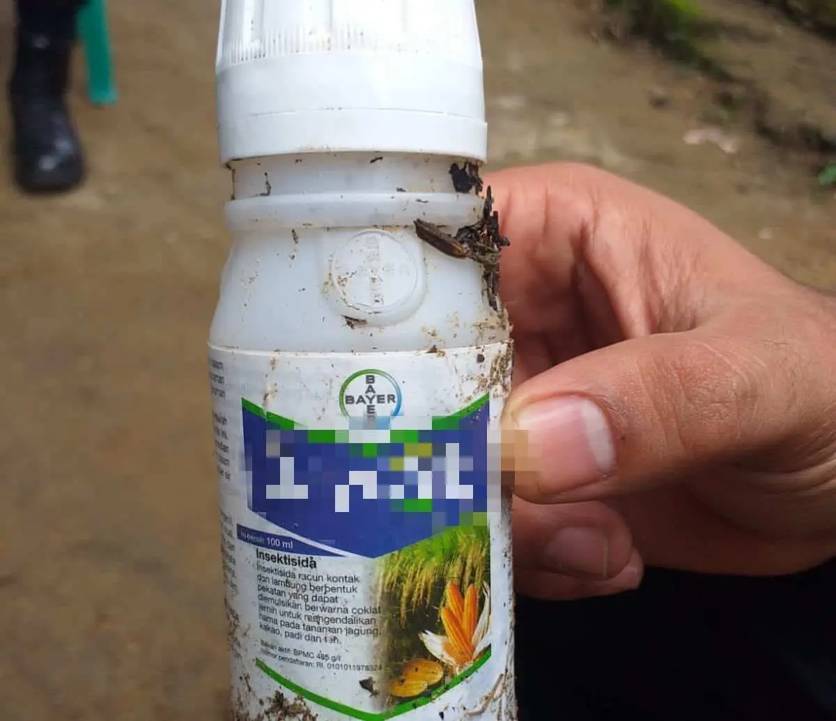 Minum Racun Serangga, Nyawa KL Tak Terselamatkan