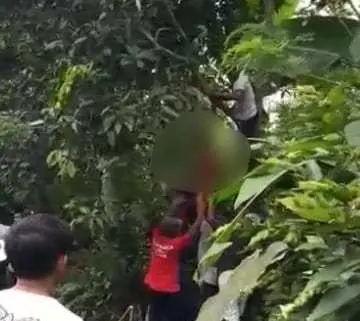 Diduga Depresi Pria 37 Tahun Di Bogor Gandir