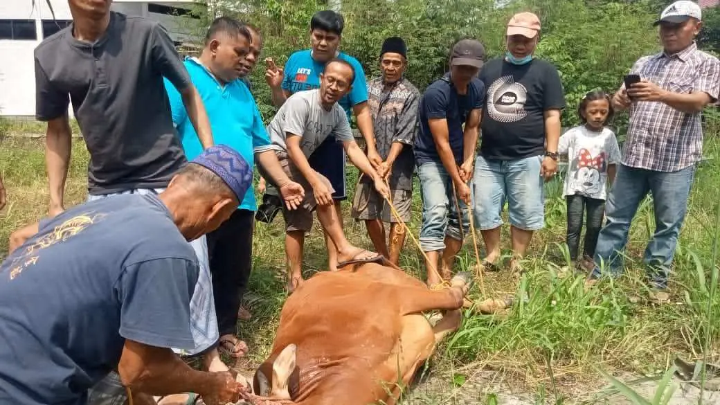 PWI Kabupaten Bogor Sembelih Hewan Kurban