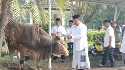 Perayaan Idul Adha 1445.H PemKab Bogor Salurkan Hewan Kurban Untuk Masyarakat 