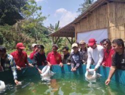  Kembangkan Budidaya Ikan Nila Adopsi Inovasi Sistem Bioflok Desa Banjarsari Dukung Ketahanan Pangan