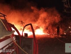 Taman Nasional Way Kambas, 350 Hektar Lahan dan Satwa Dilindungi Ikut Terbakar